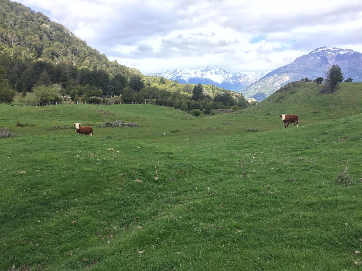 Turismo Rural Los Alpes Futaleufú Eksteriør bilde